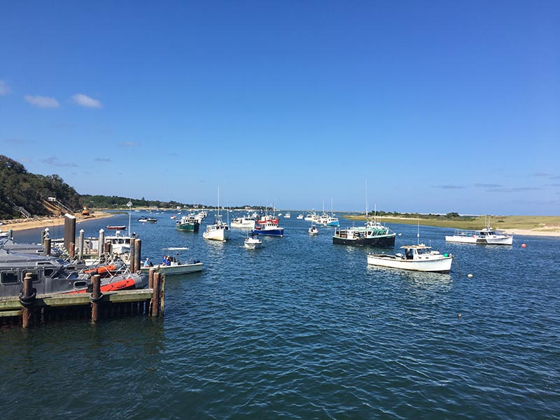 The Chatham fish pier under a clear blue sky, featuring a variety of boats anchored in calm blue waters near a dock equipped with marine gear, with a sandy beach visible in the background.