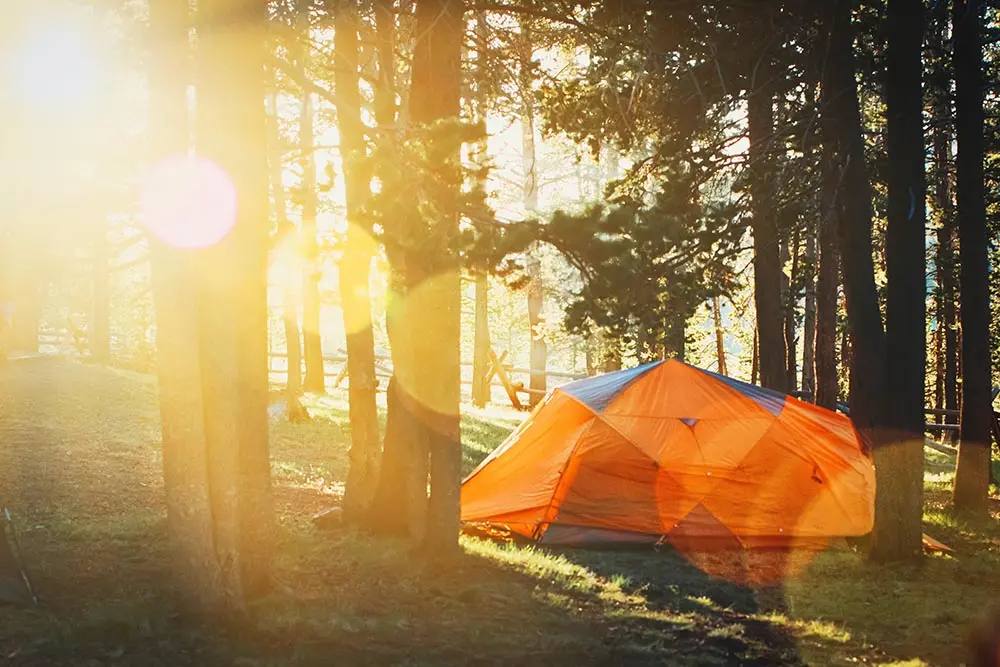 This image features an orange tent set up in a sunlit forest, with warm rays filtering through tall trees and creating a golden glow. The grassy ground and dappled light suggest an early morning or late afternoon setting, evoking a tranquil and adventurous camping experience. The peaceful atmosphere is perfect for reconnecting with nature.