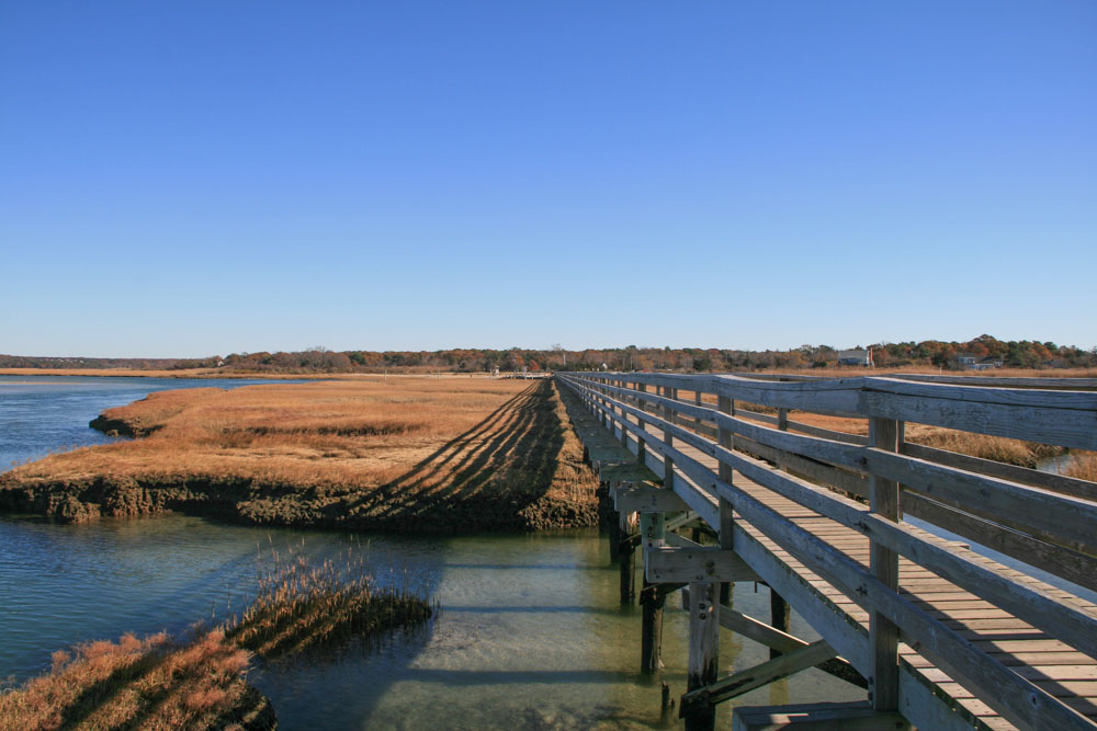A long wooden boardwalk extends over a serene salt marsh under a clear blue sky, providing a peaceful walking path with views of golden grasses and calm waters, reflecting the deep blue of the sky.