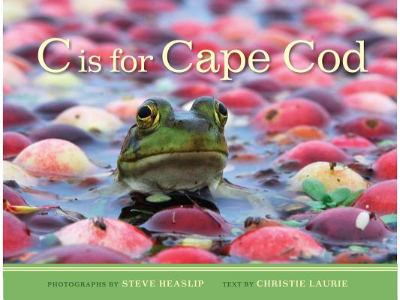 c is for cape cod christie laurie cover