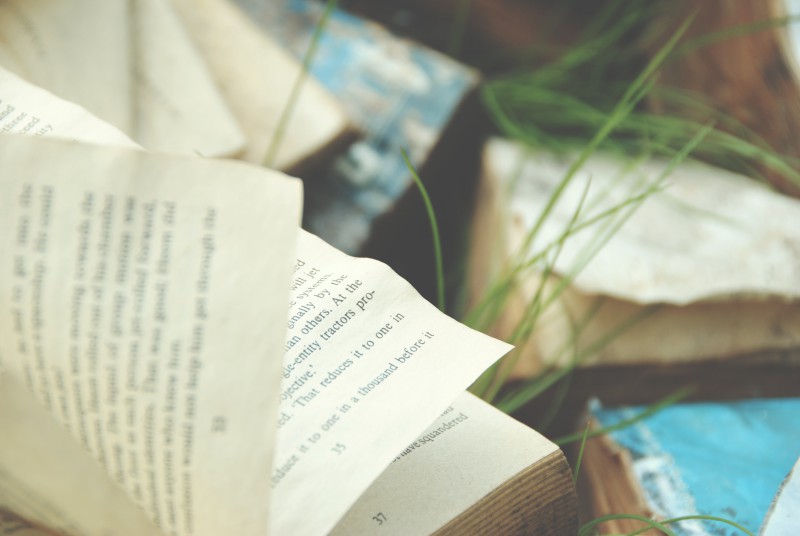weathered books in the grass from books about cape cod to add to your reading list