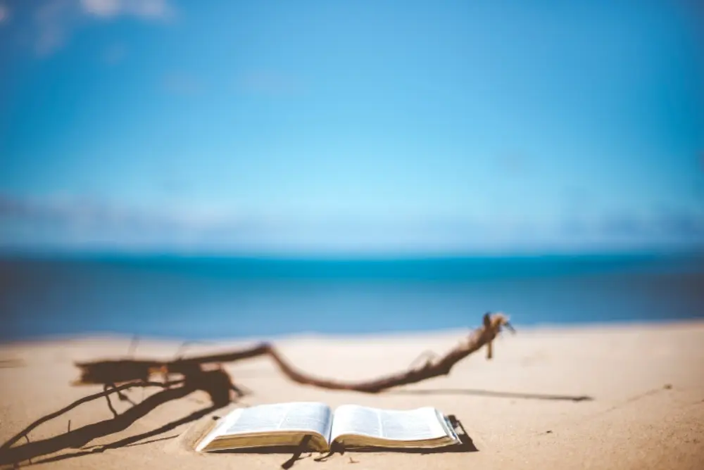 This image depicts an open book resting on golden sand, with a weathered stick casting a shadow nearby. The background showcases a serene view of the ocean meeting the sky, slightly blurred to emphasize the book in the foreground. The peaceful setting evokes a perfect moment for relaxation and reading by the sea.