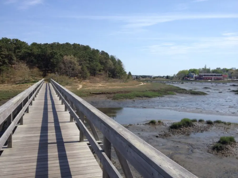 This image features a long wooden footbridge extending over a tidal marsh, with lush green trees on one end and a small cluster of buildings visible in the distance on the other. The shallow waters of the marsh reveal patches of muddy earth, adding texture to the serene landscape. The bright, clear sky enhances the natural beauty of the scene, making it inviting for a peaceful stroll.