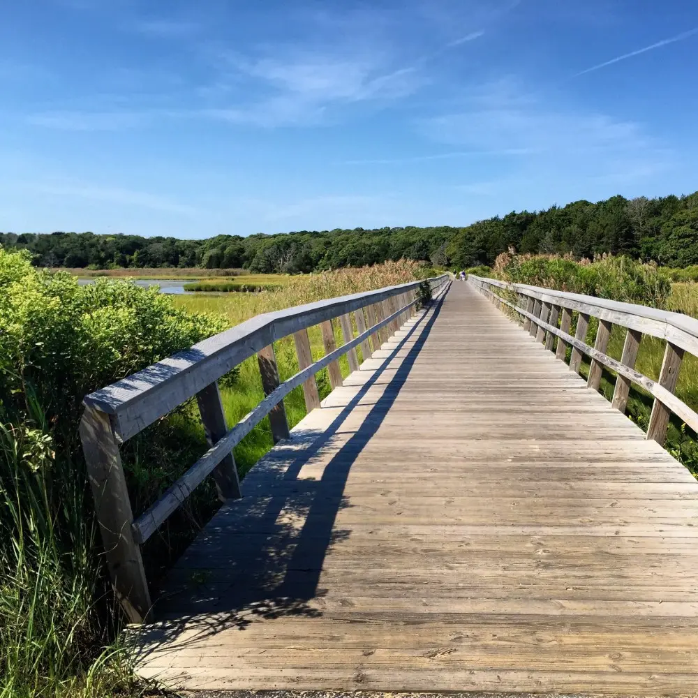This image shows a long wooden boardwalk stretching through vibrant green marshlands under a bright blue sky. The sides of the path are bordered by lush vegetation, leading toward a tree-lined horizon. It's a scenic route ideal for walking or biking in a serene natural environment.