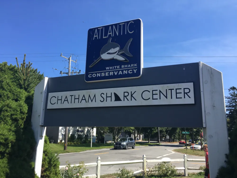 atlantic white shark conservancy chatham shark center sign