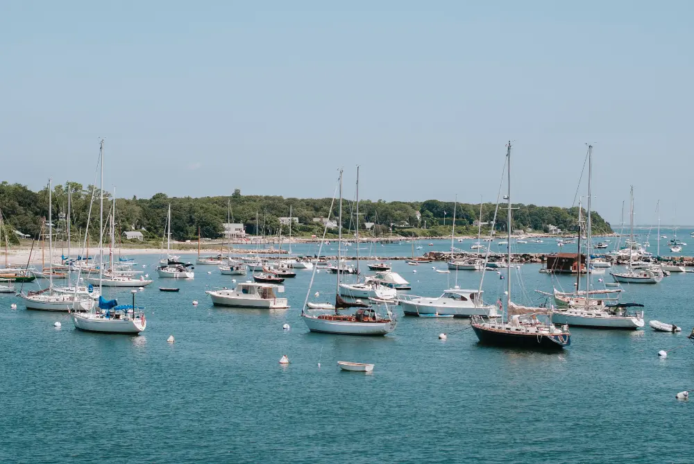 This image showcases a picturesque marina at Martha’s Vineyard, with numerous sailboats and yachts anchored on calm blue waters. The background features a lush, green shoreline dotted with small houses and a dock, under a bright and clear sky. The idyllic scene captures the relaxed and maritime charm of this iconic island destination.